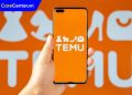 temu là gì