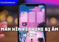 màn hình iphone bị ám hồng