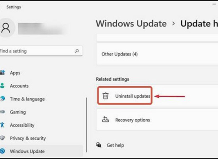 Windows Update