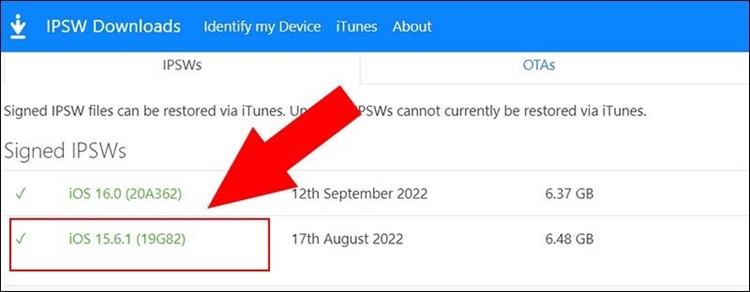Tải về bản iOS 15 IPSW