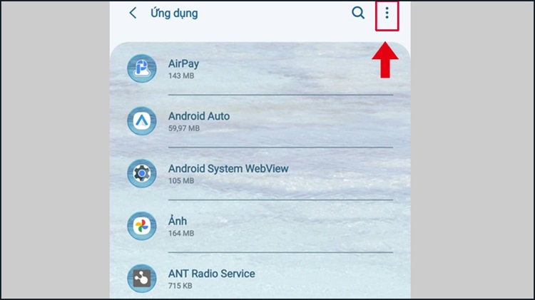 Đặt lại Tùy chọn ứng dụng