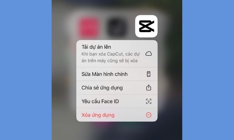 capcut bị lỗi không vào được