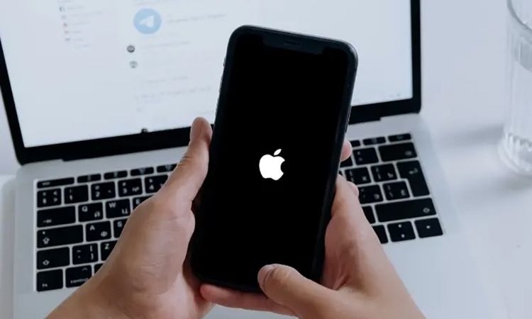 iphone bị treo táo sửa bao nhiêu tiền