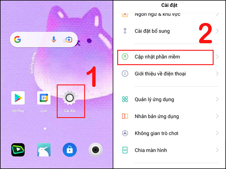 Cập nhật phần mềm và ứng dụng