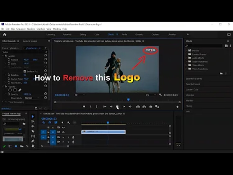 Dùng phần mềm chỉnh sửa video để che logo