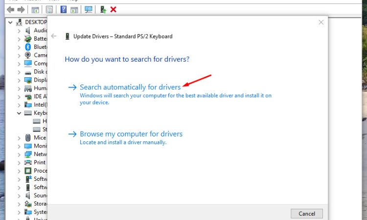 Chọn Search automatically for drivers