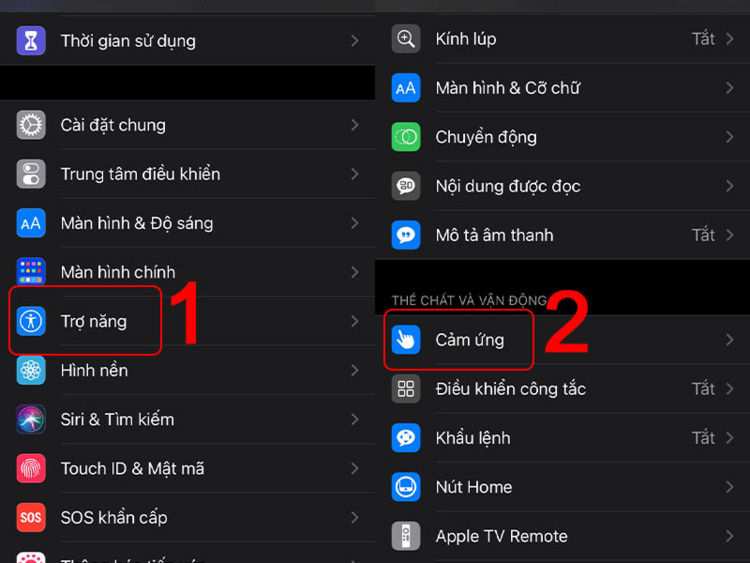 Vào mục Trợ năng và chọn Cảm ứng