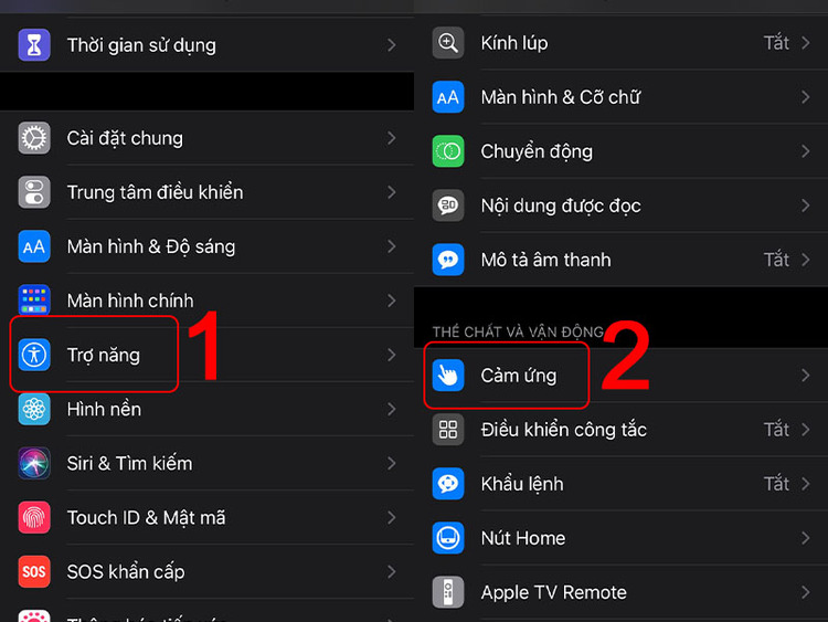 Chọn mục Trợ năng > Cảm ứng