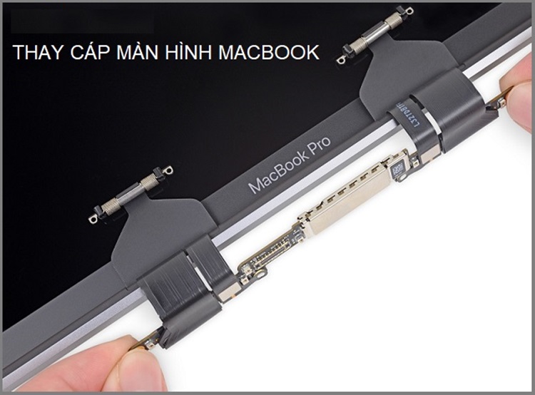 màn hình macbook bị sọc dọc