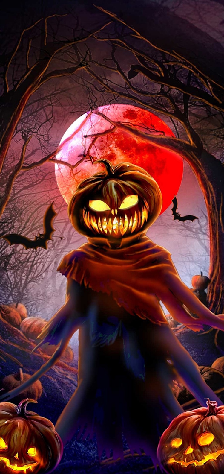 Background Halloween tone cam tươi sáng
