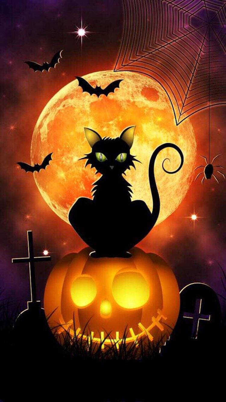 Background Halloween tone cam tươi sáng