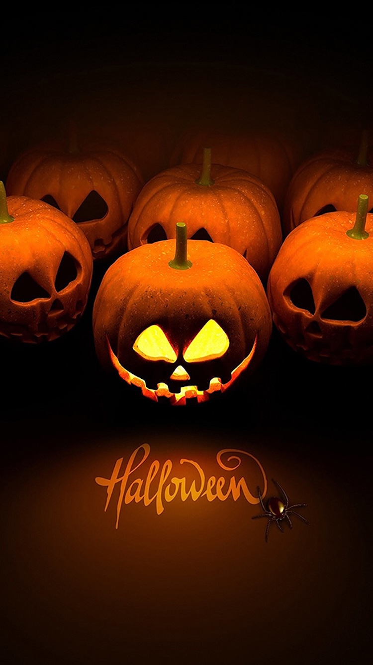 Background Halloween tone cam tươi sáng
