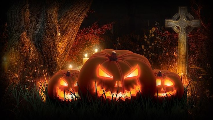 Background Halloween chủ đề bí ngô