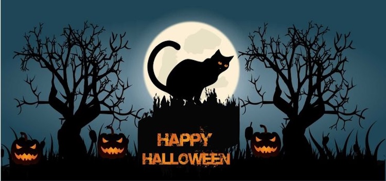 Background Halloween chủ đề mèo đen