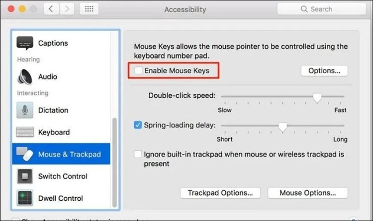 Enable Mouse Keys