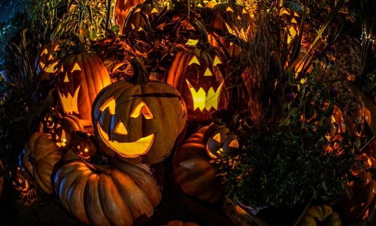 hình ảnh halloween đáng sợ nhất