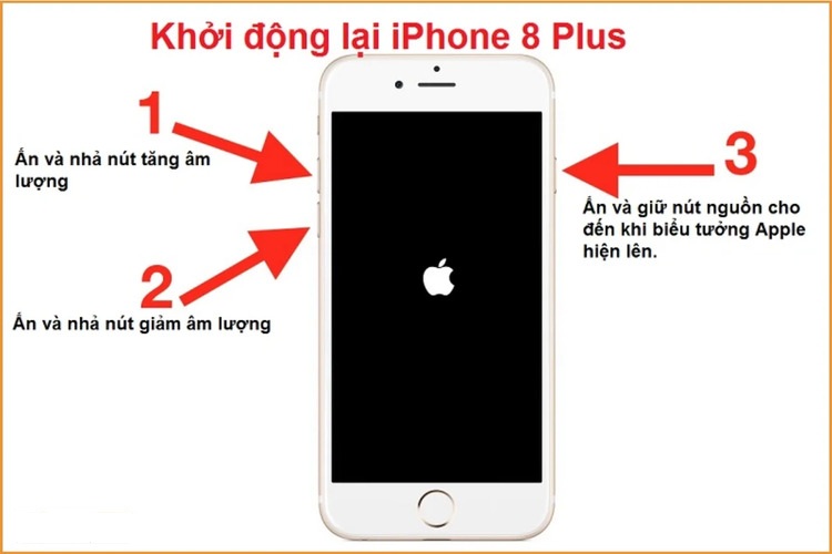 Cách tắt nguồn iPhone 8 Plus khi bị đơ nhanh chóng