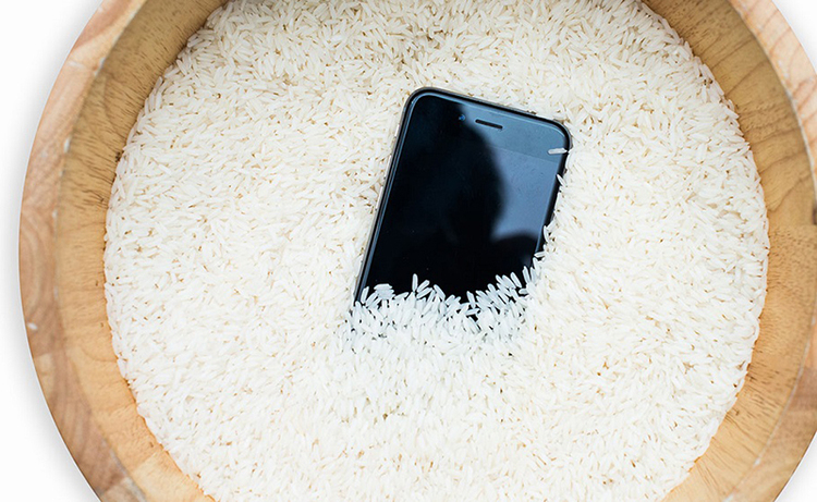 điện thoại bị vô nước đen màn hình