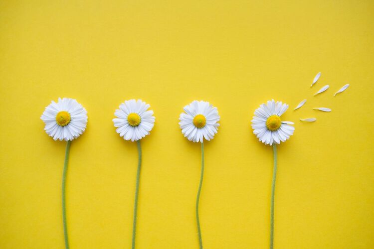 Hình ảnh 20/10 độc đáo, sáng tạo