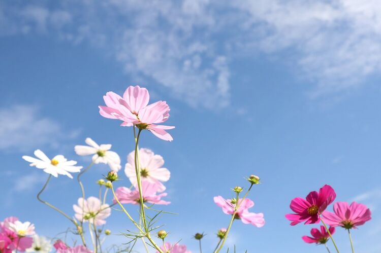 Hình ảnh 20/10 độc đáo, sáng tạo nhất