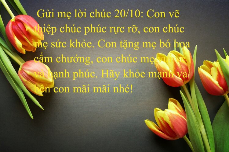 Lời chúc mừng 20/10 ý nghĩa dành cho mẹ yêu