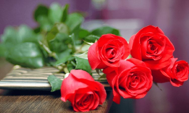 Ý nghĩa của hình ảnh chúc mừng ngày 20/10