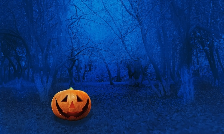 hình ảnh halloween đáng sợ nhất