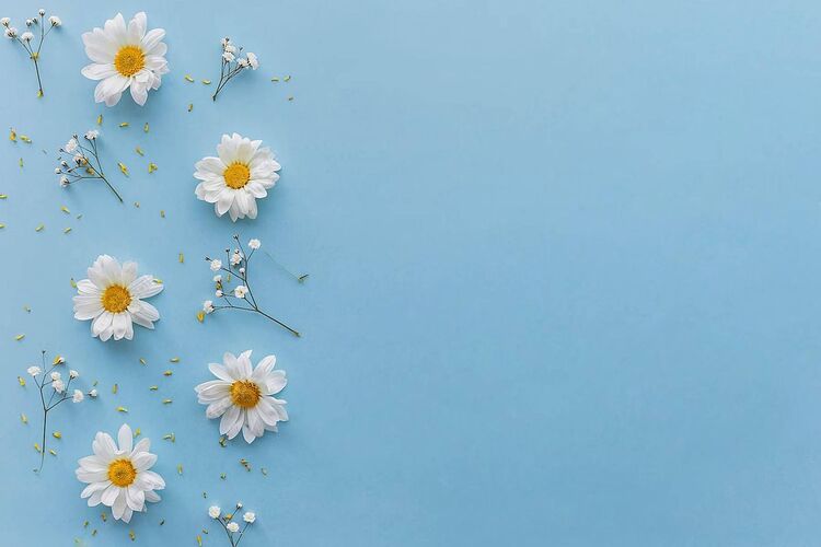 Mẫu PowerPoint 20/10 viền hoa ấn tượng