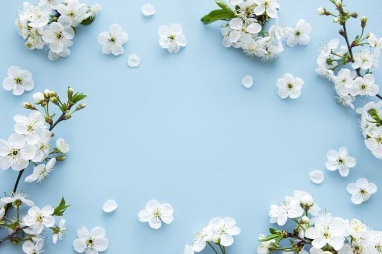 Mẫu PowerPoint 20/10 nghệ thuật hoa