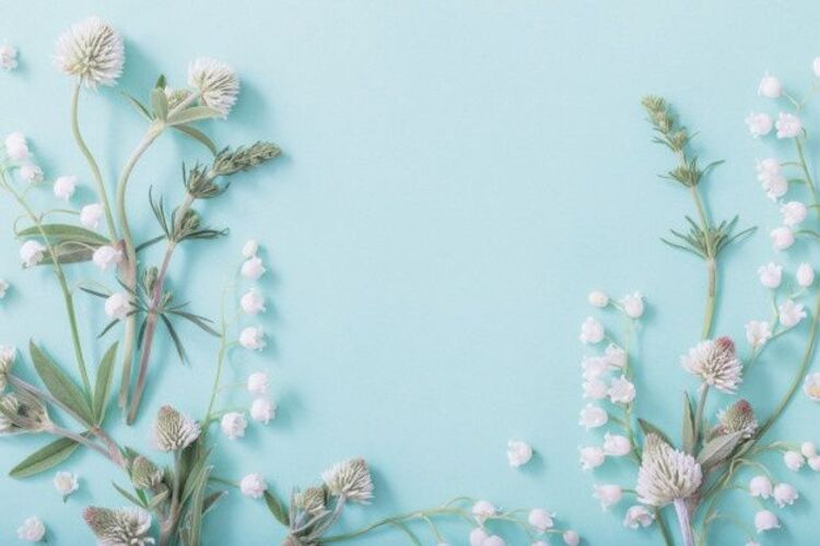 Mẫu PowerPoint 20/10 nghệ thuật hoa đẹp