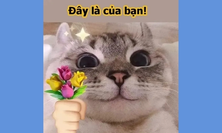 meme 20/10
