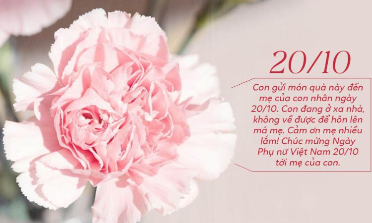 Vì sao nên gửi thiệp chúc mừng 20/10?