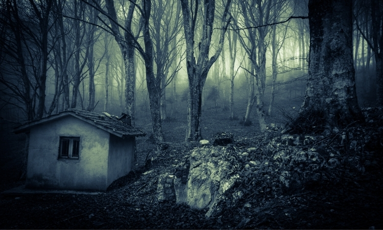 hình ảnh halloween đáng sợ nhất