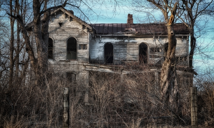 hình ảnh halloween đáng sợ nhất