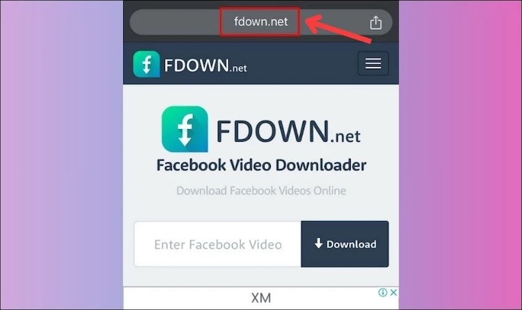 Truy cập vào website https://fdown.net/
