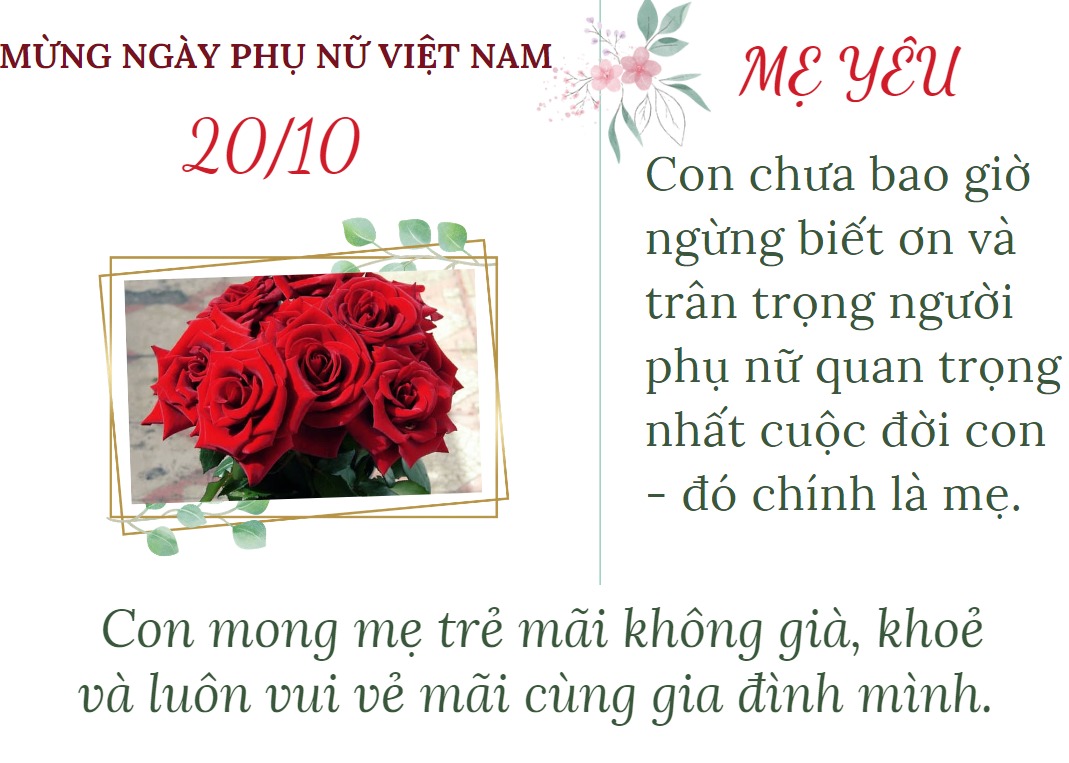 Mẫu thư chúc mừng 20/10 cho mẹ