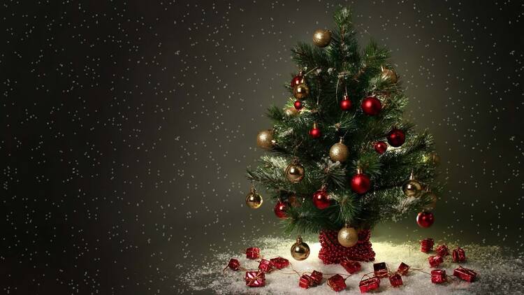 Background Noel Giáng Sinh đẹp hình cây thông