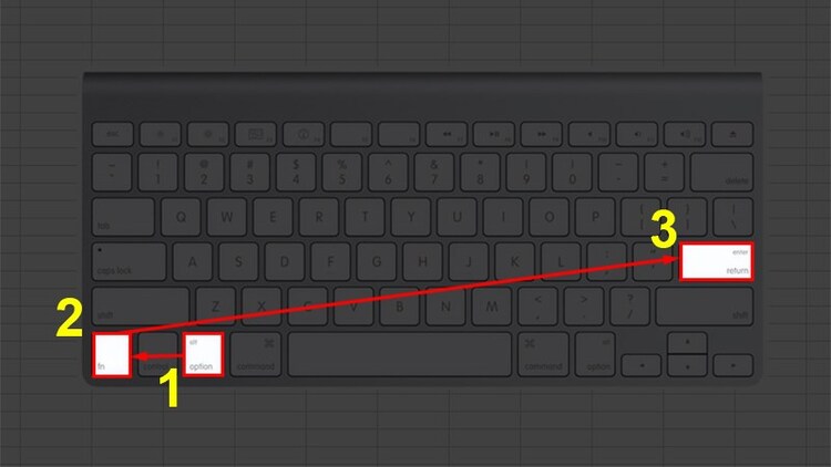 Nhấn Option + fn + Enter