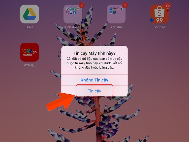 Chọn Tin cậy máy tính này