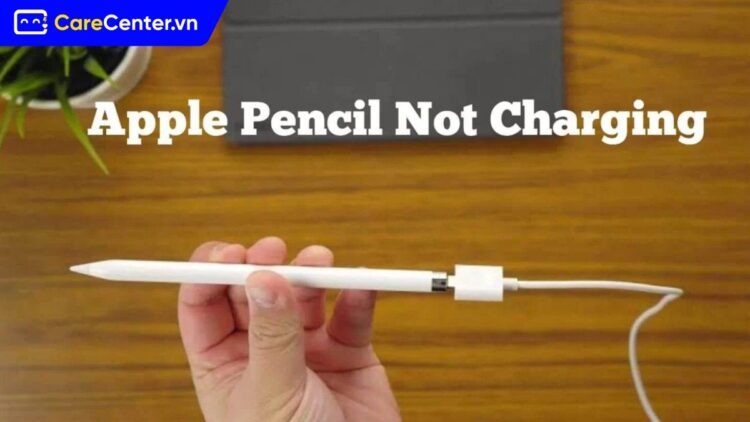 pple Pencil 2 sạc không vào pin
