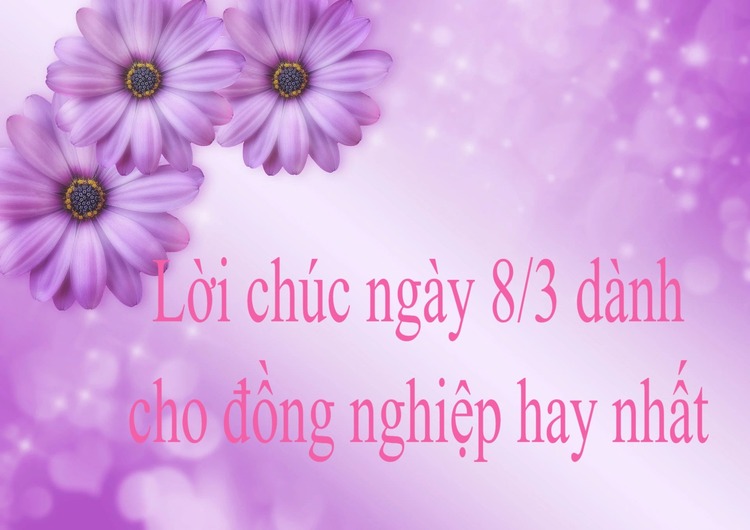 Lời chúc 8/3 cho đồng nghiệp nữ