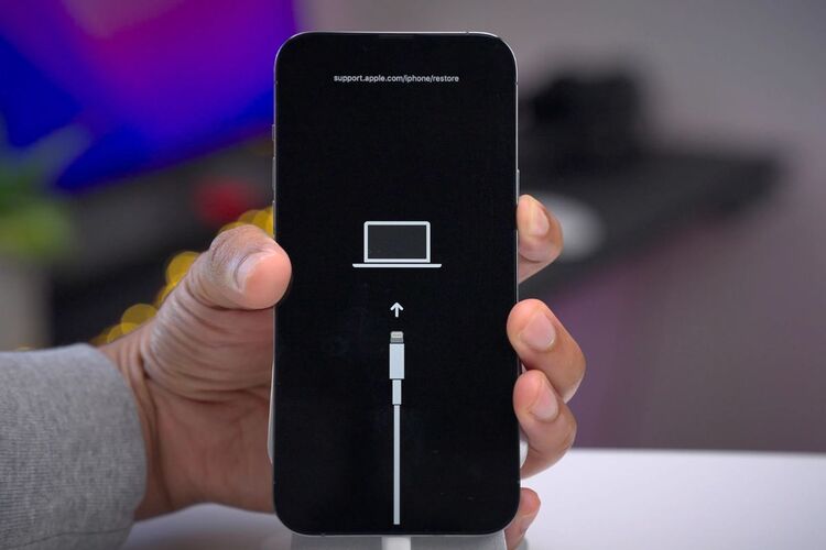 Restore máy qua iTunes/Finder iPhone 6 Plus