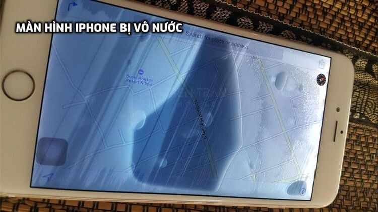 iphone bị vô nước