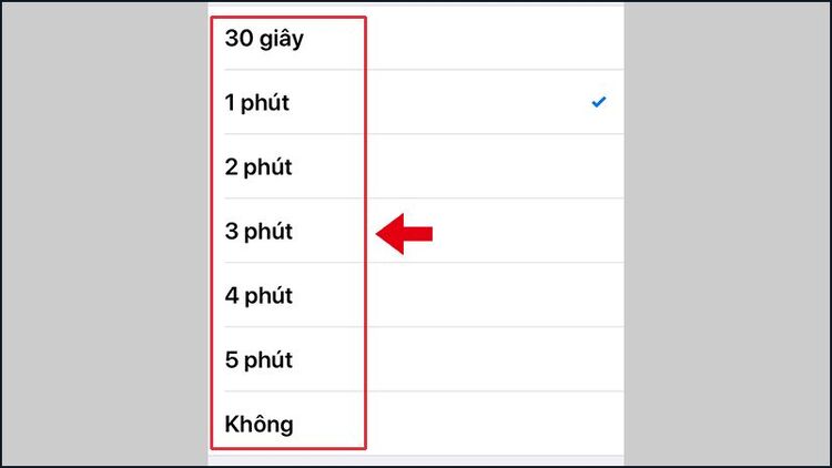 Kiểm tra thời gian Tự động khóa khi iphone không tự tắt