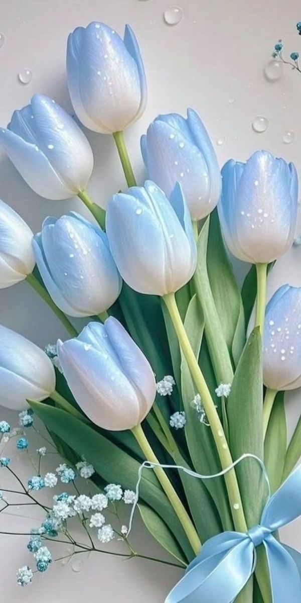 Hình nền hoa tulip màu xanh dương