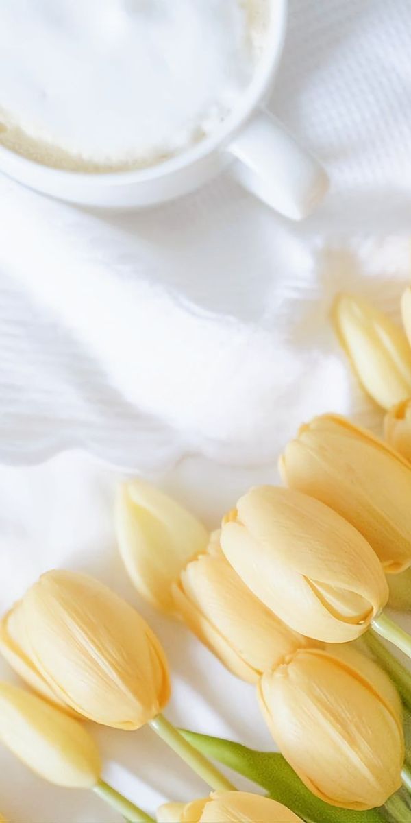 Hình nền hoa tulip màu vàng cho điện thoại